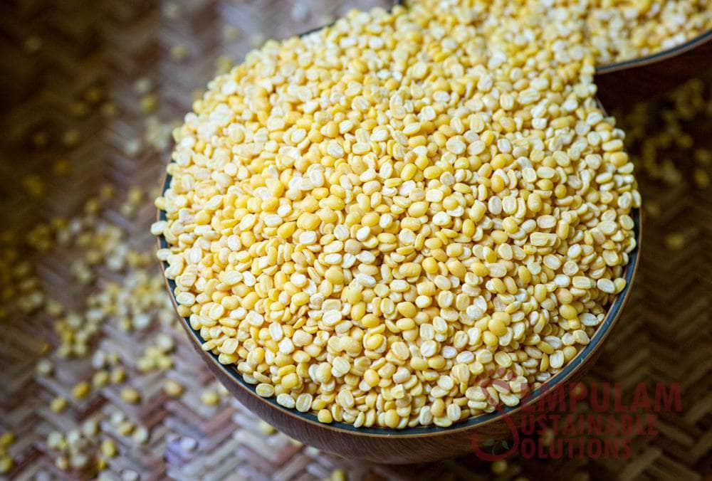 Moong-Dal